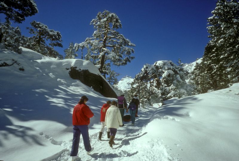 RESIDENCE L'OMBREE, La neige des Hautes Pyrénées RESIDENCE L'OMBREE : Location Luz Saint Sauveur